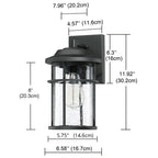1 Light Black Coastal Barn Dome Outdoor Wall Lantern Clear Glass