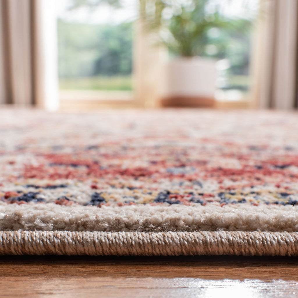 SAFAVIEH Charleston Svantje Vintage Boho Oriental Rug
